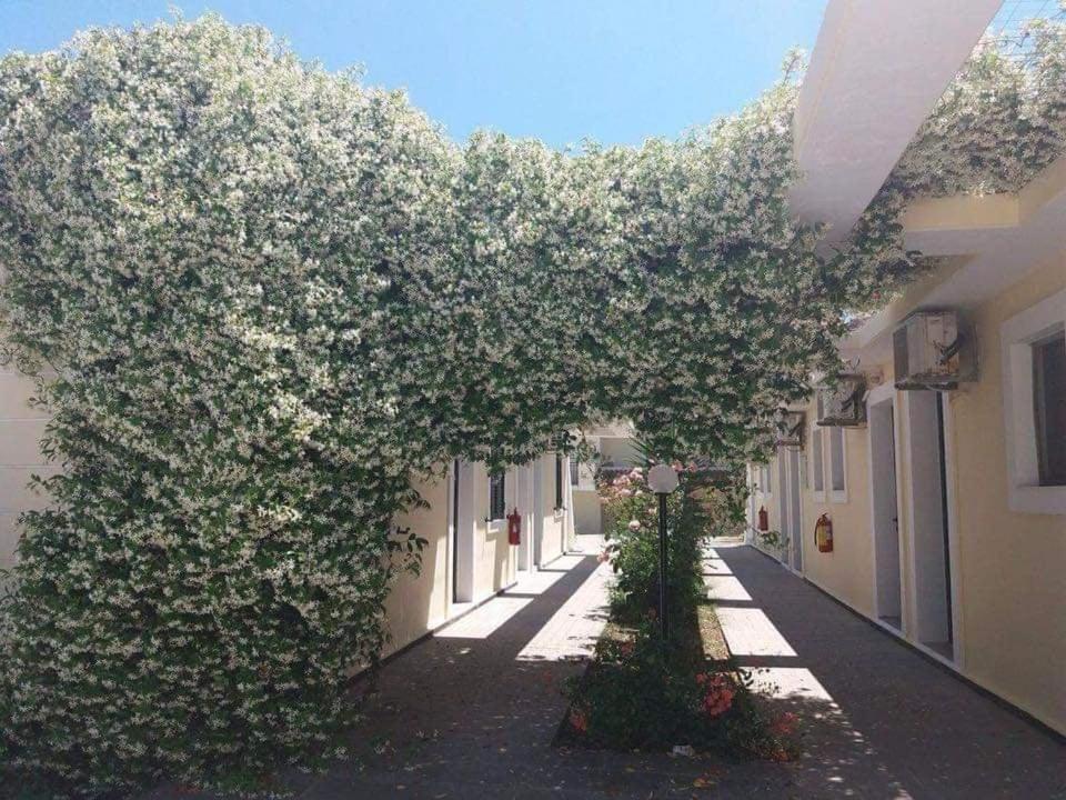 Monika Hotel Sidari Sidari  Exterior photo